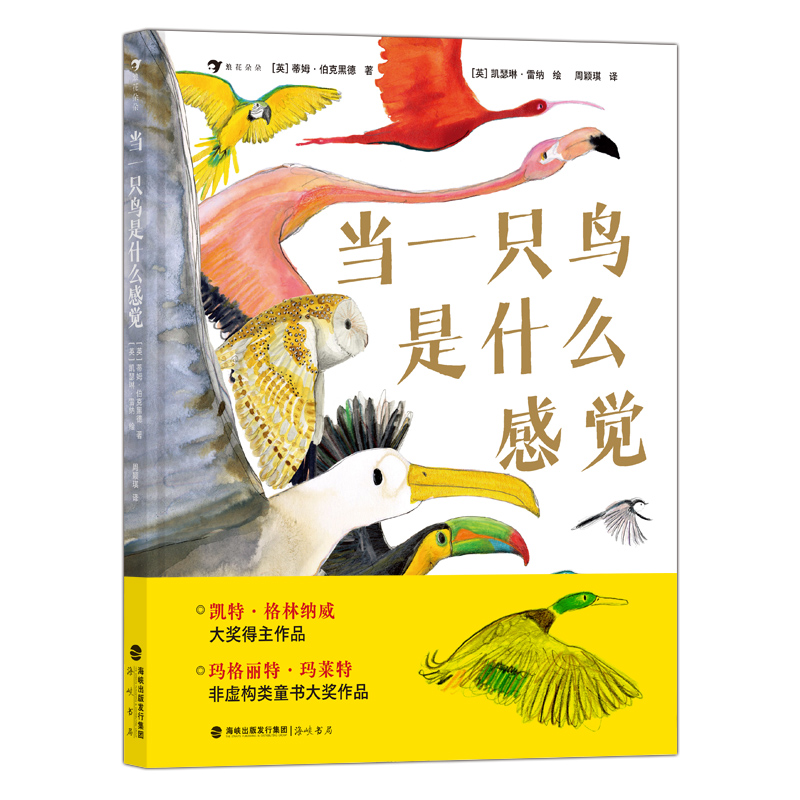(dng)һֻBʲôX cHBW(xu)ҡ宋(jing)һ ̽B(d)صʽ