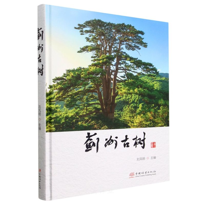 EݹŘ(sh)()