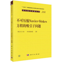 ɉs Navier-Stokes ̵ӆ(wn)}