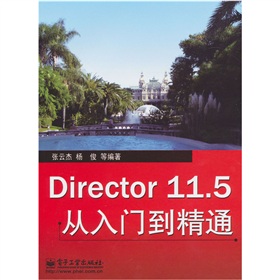 Director 11.5T(mn)ͨ